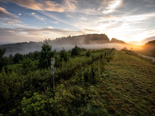 Scenic view of Blue Ridge Parkway in the Appalachian Mountains