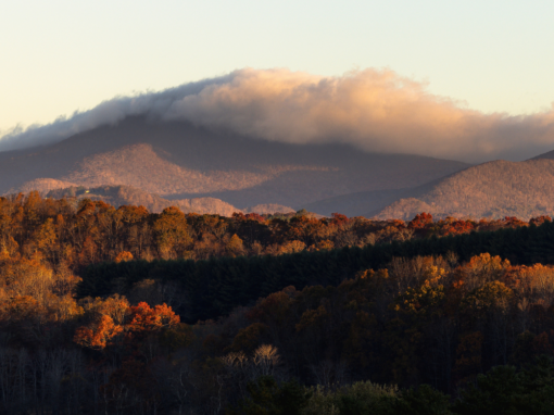 Autumn trees in the foreground with a mountain in the background, partly covered by a layer of clouds under a clear sky.