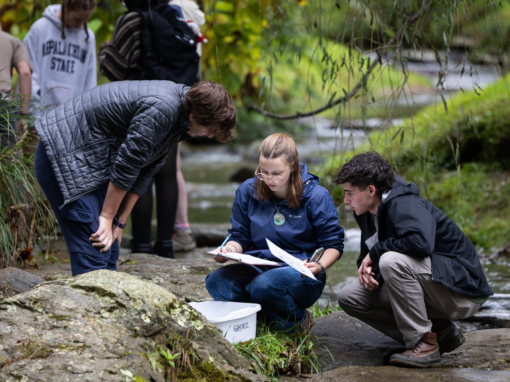 Three people examine papers and a plastic container while sitting on rocks beside a stream; others stand in the background near trees and water.